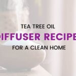 Difusor de aceite de árbol de té Receta: 10 mezclas de difusores para ayudarlo Difusor