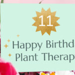 ¡Feliz cumpleaños número 11 de Terapia con Plantas!