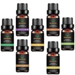 Juego de aceites esenciales de grado terapéutico Besstoil 100%puro aromaterapia aromática Set de regalo