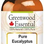 Greenwood Essential Puro Eucalipto Aceite Esencial (Eucalyptus globulus) 100% Natural de Grado Terapéutico Destilado al Vapor 15ml (0,50 oz)