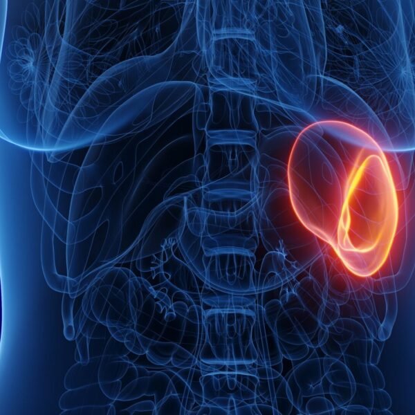 Fortalece tu sistema inmunológico manteniendo tu bazo